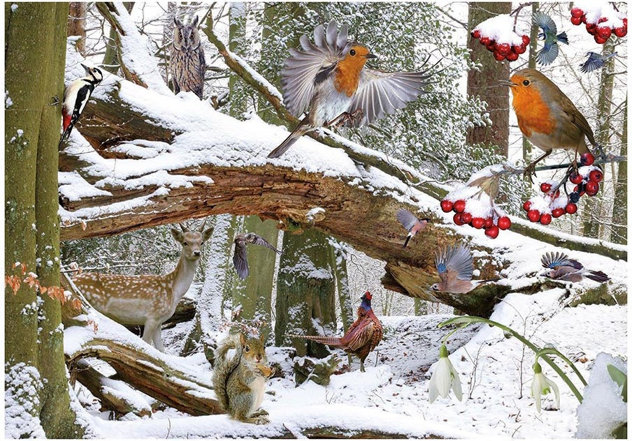 Artwork: Winter Wood – 500 Piece Jigsaw Puzzle (House of Puzzles)