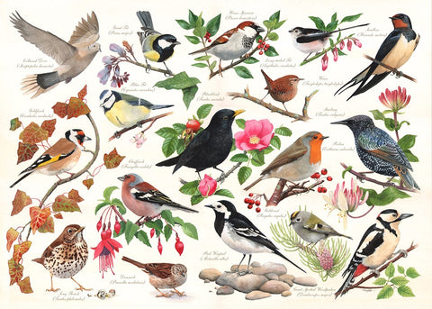 Artwork: Birds In My Garden – 1000 Piece Jigsaw Puzzle (House of Puzzles)