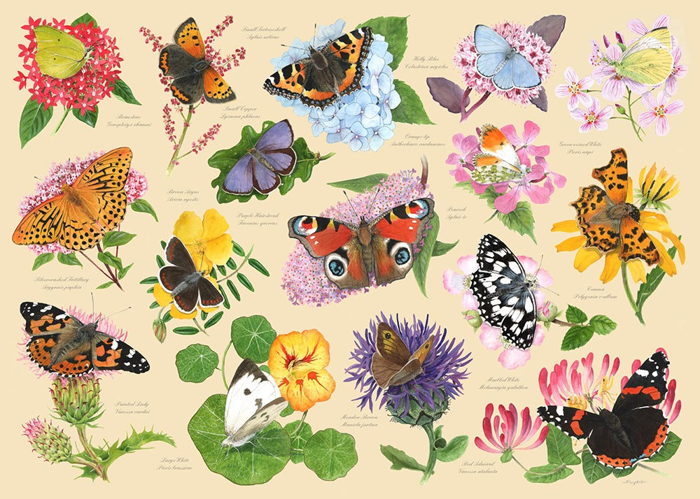 Artwork: Garden Butterflies – 1000 Piece Jigsaw Puzzle (House of Puzzles)