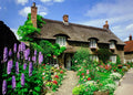 Artwork: Delightful Dales – 1000 Piece Jigsaw Puzzle (House of Puzzles)