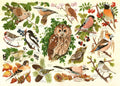 Artwork: Woodland Birds – 500 XL Piece Jigsaw Puzzle (House of Puzzles)