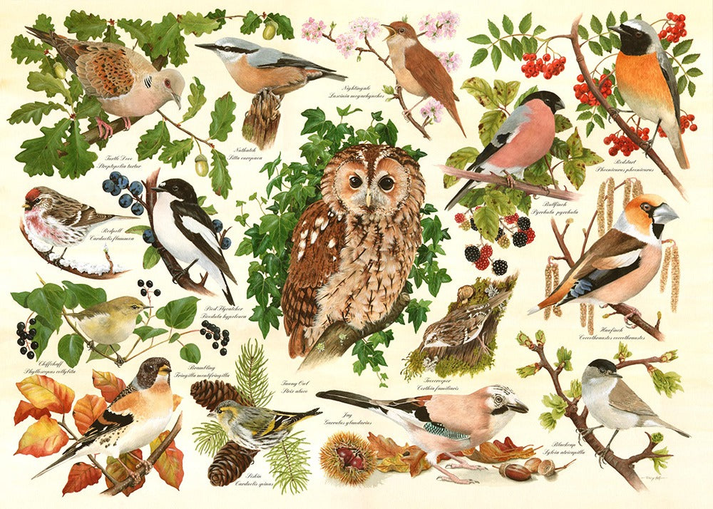 Artwork: Woodland Birds – 500 XL Piece Jigsaw Puzzle (House of Puzzles)