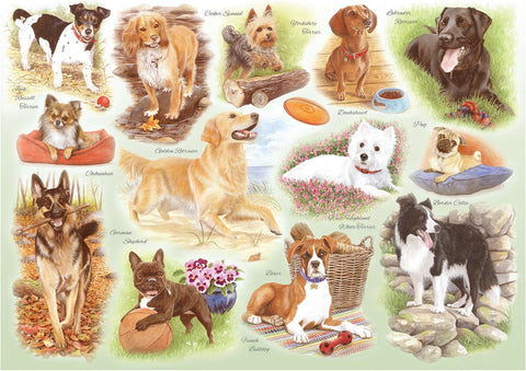 Artwork: Some of our Best Friends by Tracy Hall - 250 Piece Big Jigsaw Puzzle (House of Puzzles)
