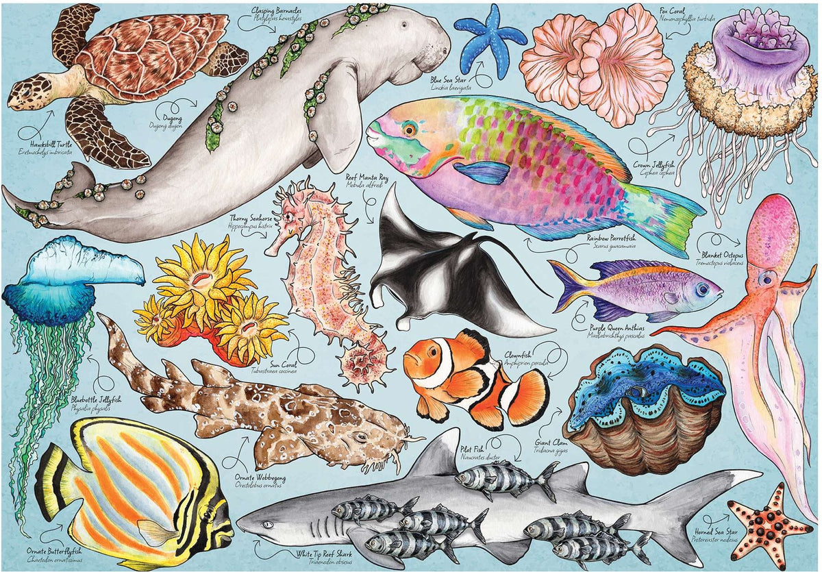 Artwork: Great Barrier Reef by Mirri Rowland - 1000 Piece Jigsaw Puzzle (House of Puzzles)