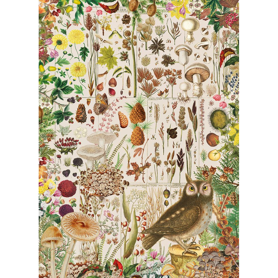 Fall Flora – RHS – 1000 Piece Jigsaw Puzzle (Gibsons)