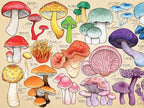 Artwork: Mushroom Mania – 1000 Piece Jigsaw Puzzle (House of Puzzles)