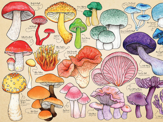 ** Pre-Order ** HOP - Mushroom Mania - 1000 Piece