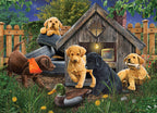 Artwork: In the Doghouse – 1000 Piece Jigsaw Puzzle (Cobble Hill)