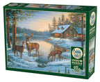 Box, turned left: A Quiet Place – 1000 Piece Jigsaw Puzzle (Cobble Hill)