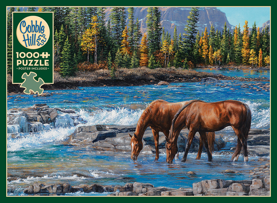 Box, straight on: On The Rocks – 1000 Piece Jigsaw Puzzle (Cobble Hill)