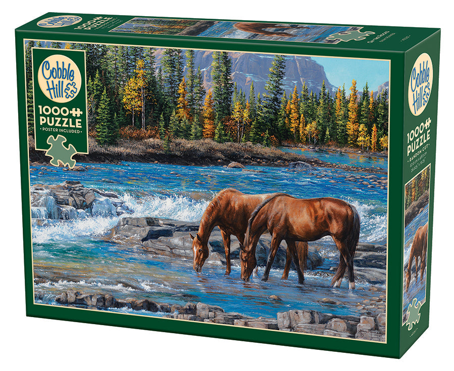 Box, turned left: On The Rocks – 1000 Piece Jigsaw Puzzle (Cobble Hill)