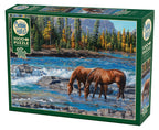 Box, turned left: On The Rocks – 1000 Piece Jigsaw Puzzle (Cobble Hill)