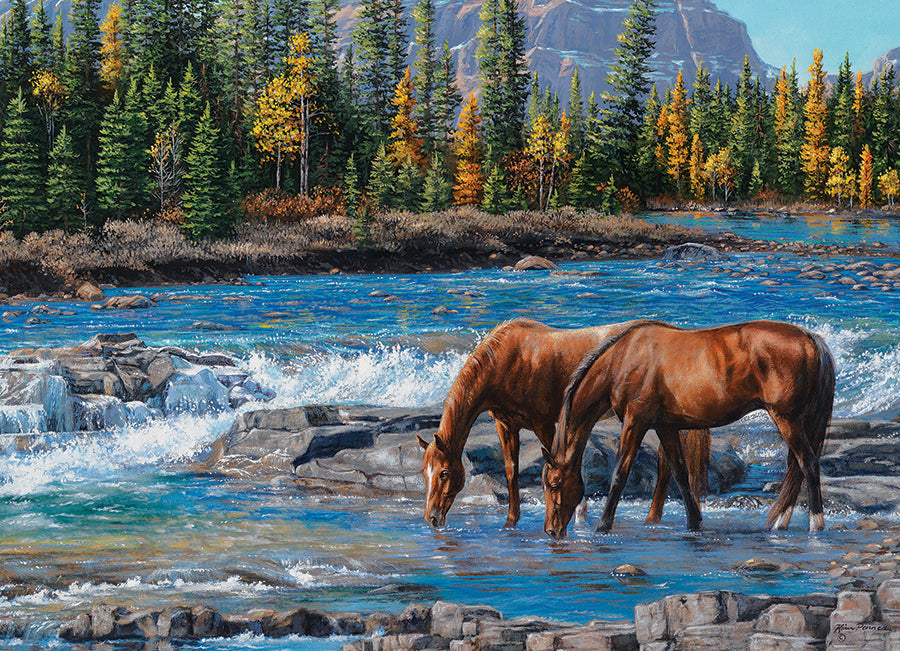 Artwork: On The Rocks – 1000 Piece Jigsaw Puzzle (Cobble Hill)