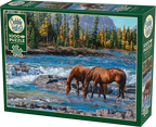 On The Rocks – 1000 Piece Jigsaw Puzzle (Cobble Hill)