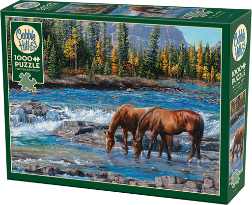 On The Rocks – 1000 Piece Jigsaw Puzzle (Cobble Hill)