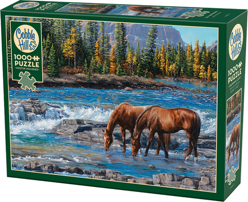 On The Rocks – 1000 Piece Jigsaw Puzzle (Cobble Hill) - Completed Puzzle
