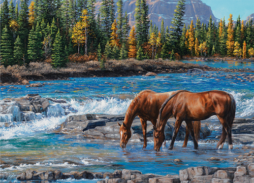 On The Rocks – 1000 Piece Jigsaw Puzzle (Cobble Hill)