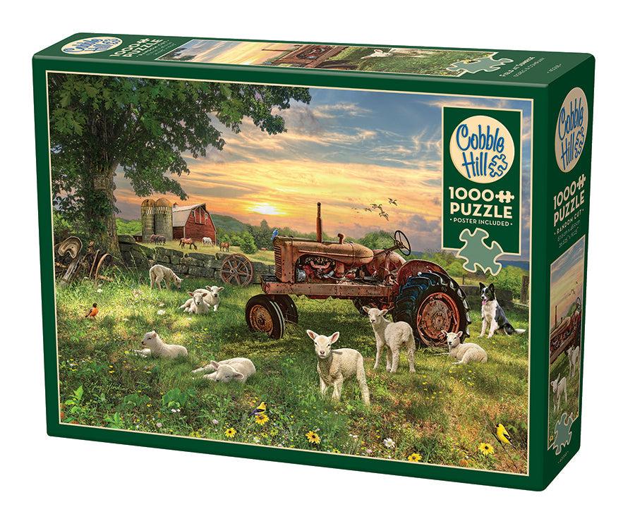 Box, turned left: Field at Sunrise – 1000 Piece Jigsaw Puzzle (Cobble Hill)
