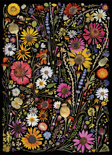 Flower Press Happiness – 1000 Piece Jigsaw Puzzle (Cobble Hill)
