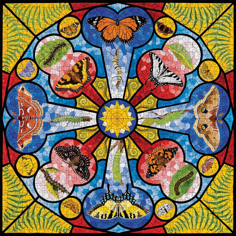 Butterfly Rose Window by David Cohen - 1000 Piece Jigsaw Puzzle (Pomegranate)