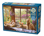 Box, turned left: Sunbeam – 500 Piece Jigsaw Puzzle (Cobble Hill)
