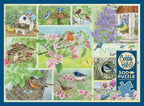 Box, straight on: Garden Birds in Spring – 500 Piece Jigsaw Puzzle (Cobble Hill)