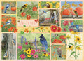 Artwork: Garden Birds in Autumn – 500 Piece Jigsaw Puzzle (Cobble Hill)