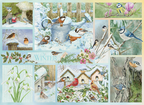 Garden Birds in Winter – 500 Piece Jigsaw Puzzle (Cobble Hill)