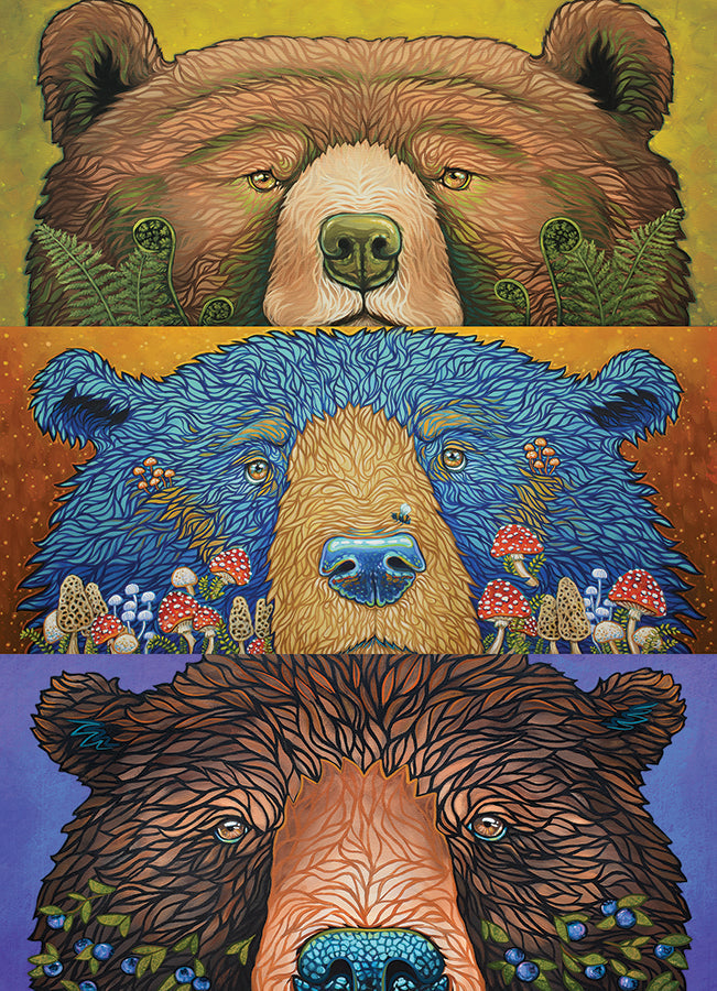 Artwork: Bear Eyes: Harvest – 500 Piece Jigsaw Puzzle (Cobble Hill)