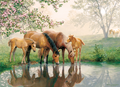 Horse Family – 350 Piece Jigsaw Puzzle (Cobble Hill)