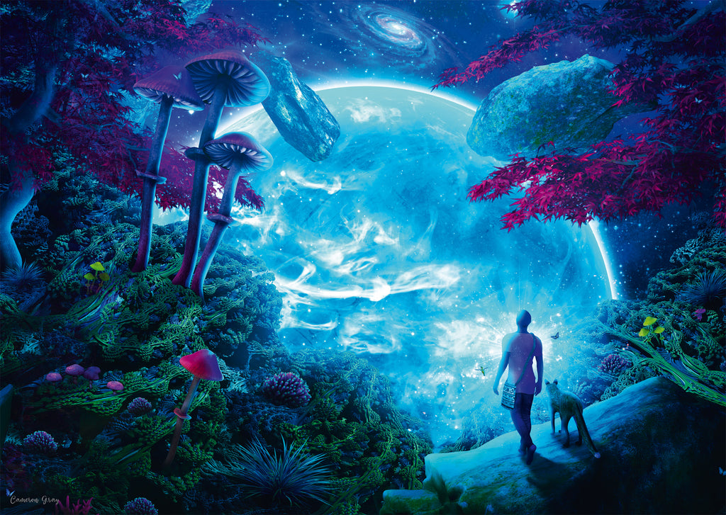 Heaven Fantasy by Cameron Gray – 1000 Piece Jigsaw Puzzle (Shmidt)