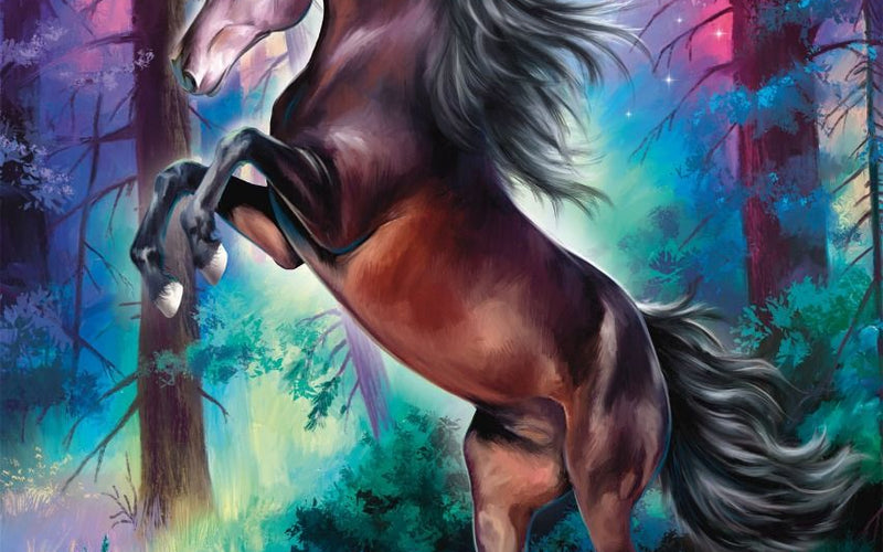 Schmidt Puzzles image