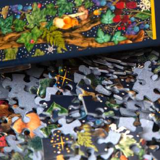 Into The Forest – 1000 Piece Jigsaw Puzzle (Gibsons)