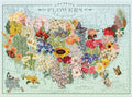 Artwork: USA State Flowers by Wendy Gold – 1000 Piece Jigsaw Puzzle (Galison)