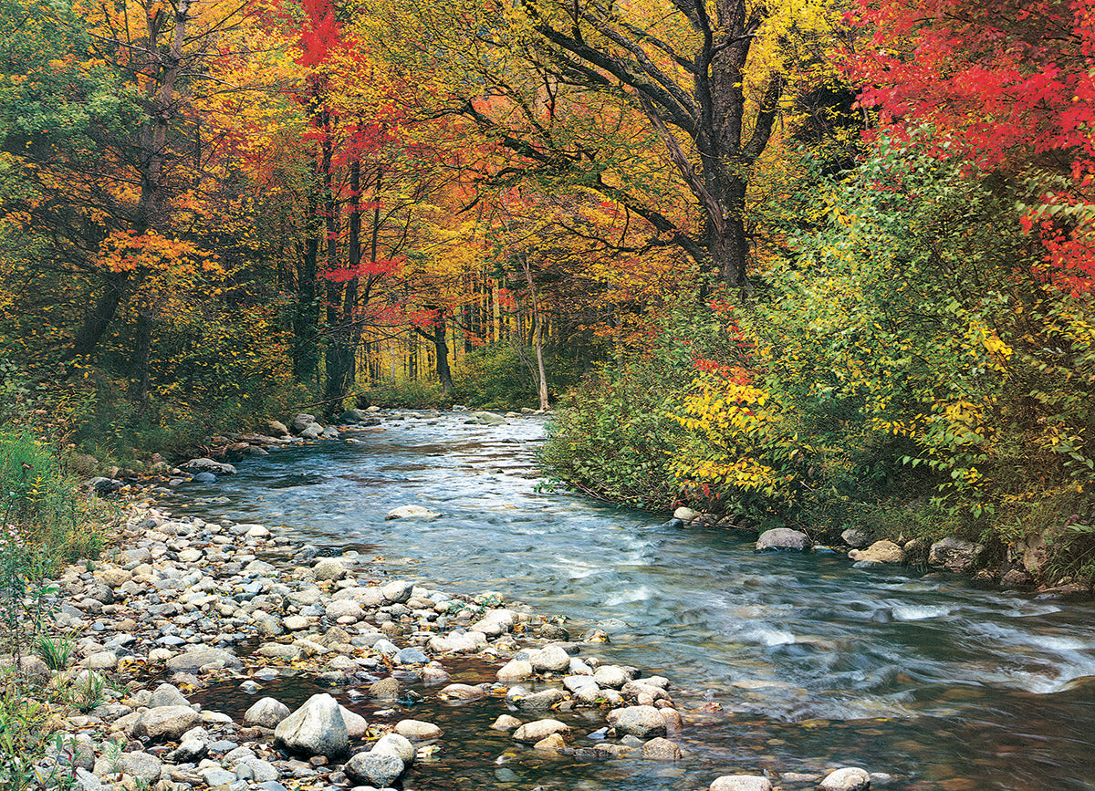 Artwork: Forest Stream – 1000 Piece Jigsaw Puzzle (Eurographics)