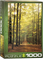 Forest Path – 1000 Piece Jigsaw Puzzle (Eurographics)