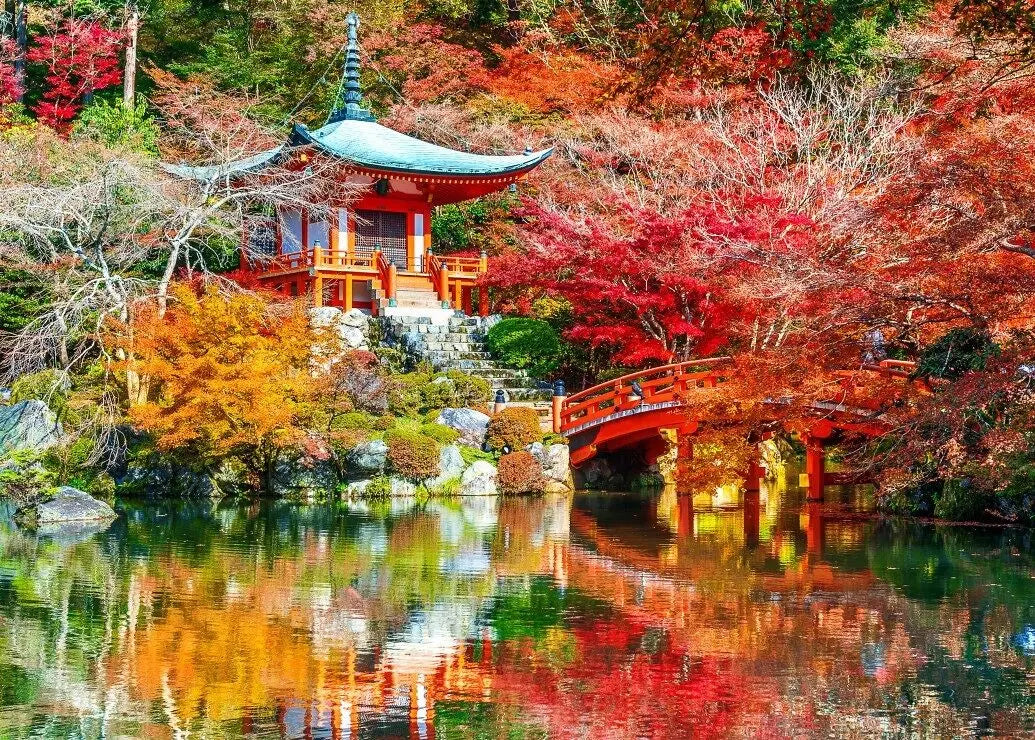 Artwork: Daigo-ji Temple in Autumn, Kyoto - 500 Piece Jigsaw Puzzle (Bluebird)