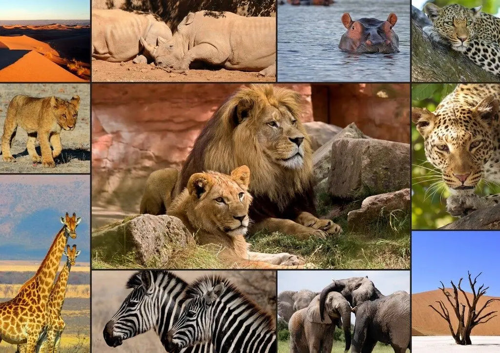 Collage - Wildlife - 1500 Piece Jigsaw Puzzle (Grafika) - Completed Puzzle