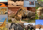 Collage - Wildlife - 1500 Piece Jigsaw Puzzle (Grafika) - Completed Puzzle