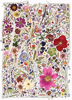 Flower Press: Spring - 1000 Piece Jigsaw Puzzle (Cobble Hill)