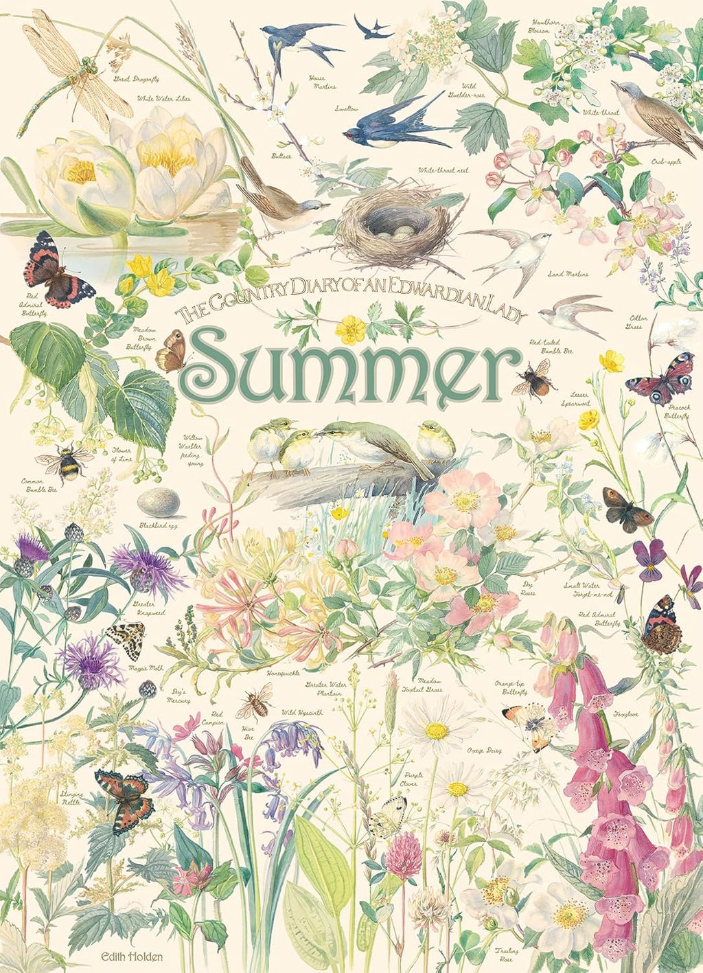 Country Diary of an Edwardian Lady: Summer by Edith Holden - 1000 Piece Jigsaw Puzzle (Cobble Hill)