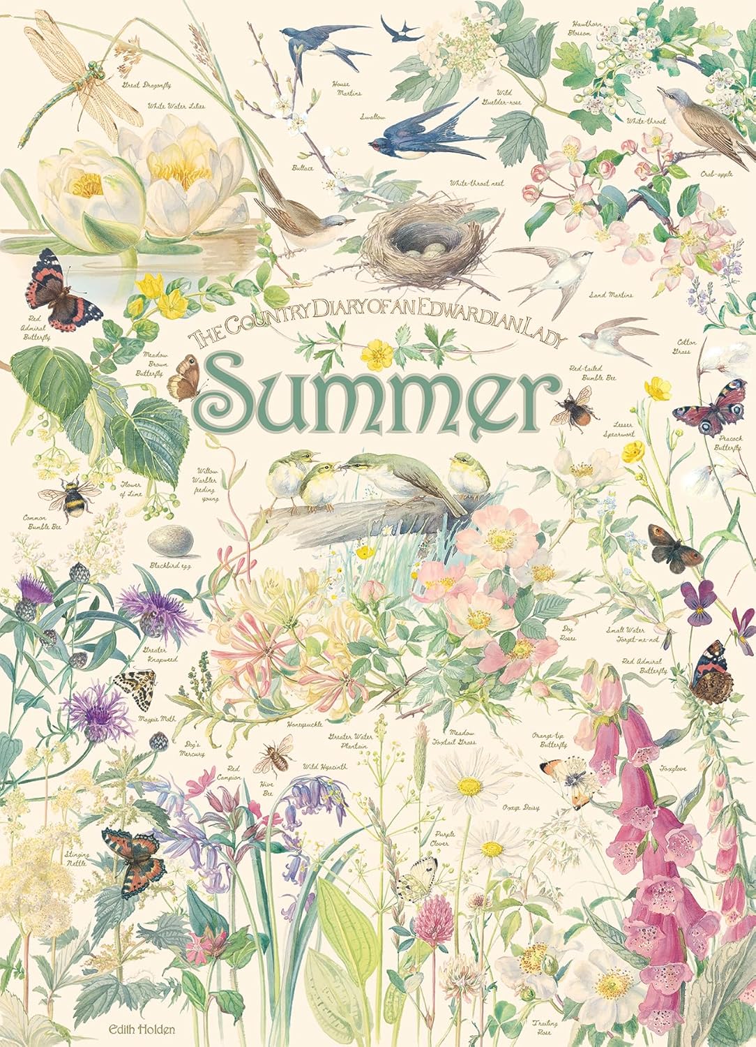 Country Diary of an Edwardian Lady: Summer by Edith Holden - 1000 Piece Jigsaw Puzzle (Cobble Hill)