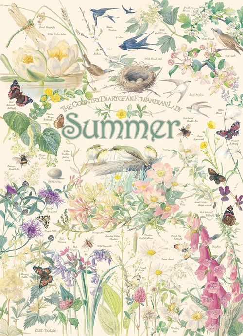 Country Diary of an Edwardian Lady: Summer by Edith Holden - 1000 Piece Jigsaw Puzzle (Cobble Hill)