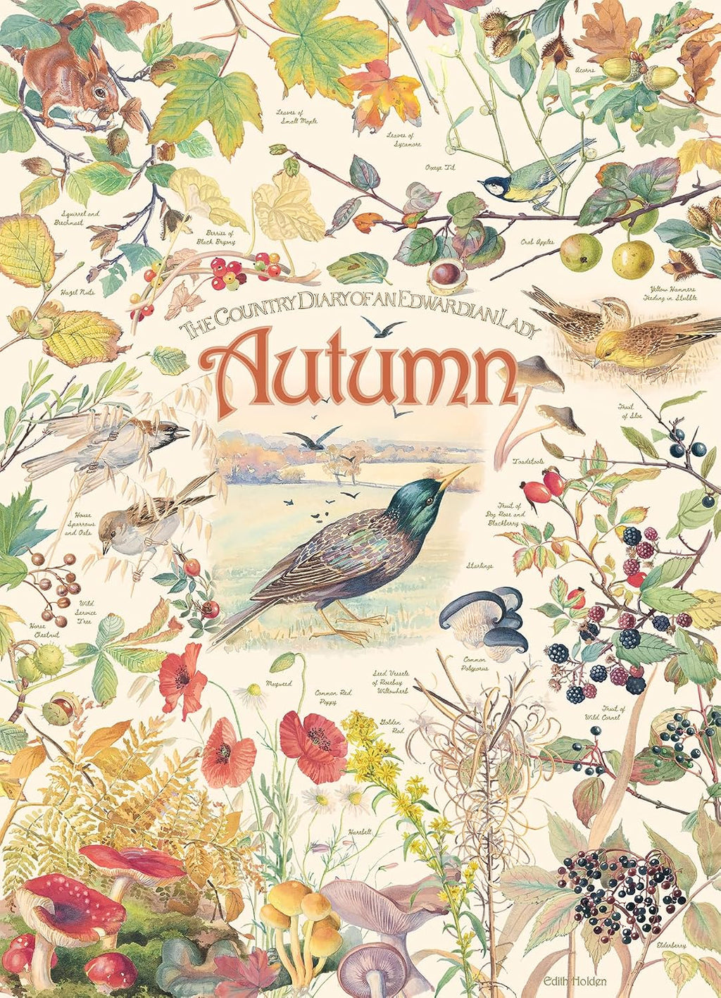 Country Diary of an Edwardian Lady: Autumn - 1000 Piece Jigsaw Puzzle (Cobble Hill)