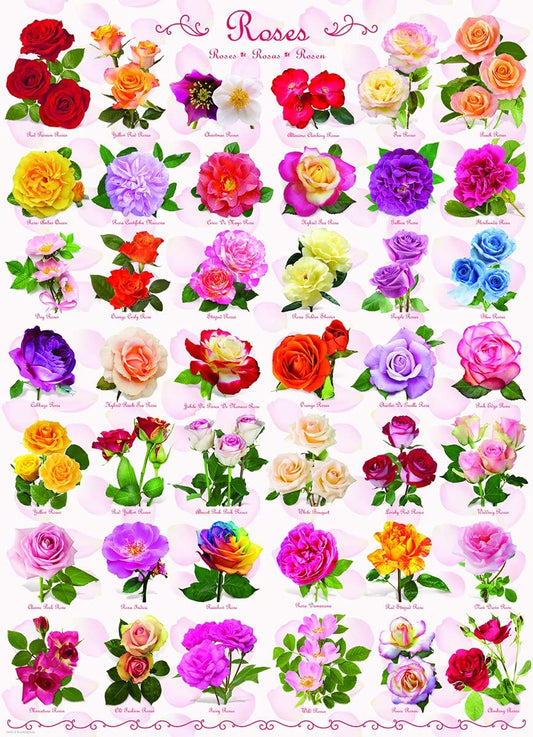 Eurographics Roses - 1000 Piece Jigsaw Puzzle