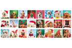 Advent Calendar: Christmas Paws – Jigsaw Puzzle (Eurographics)