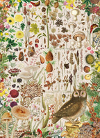 Artwork: Fall Flora – RHS – 1000 Piece Jigsaw Puzzle (Gibsons)