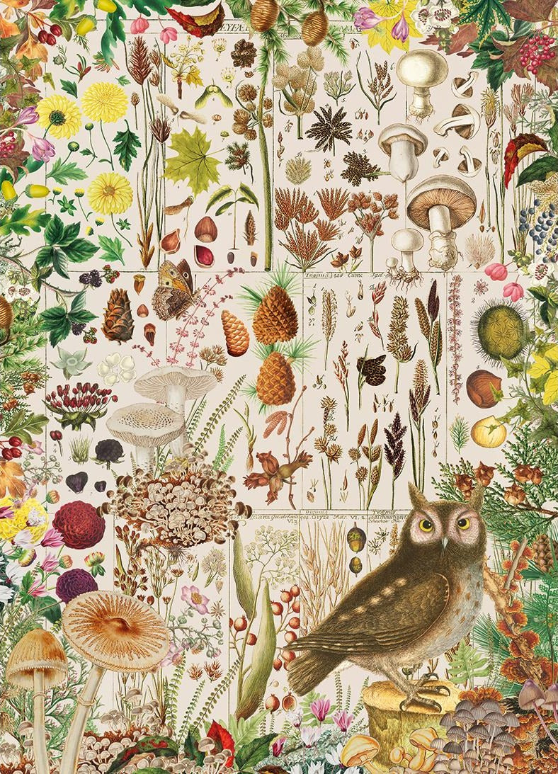 Artwork: Fall Flora – RHS – 1000 Piece Jigsaw Puzzle (Gibsons)