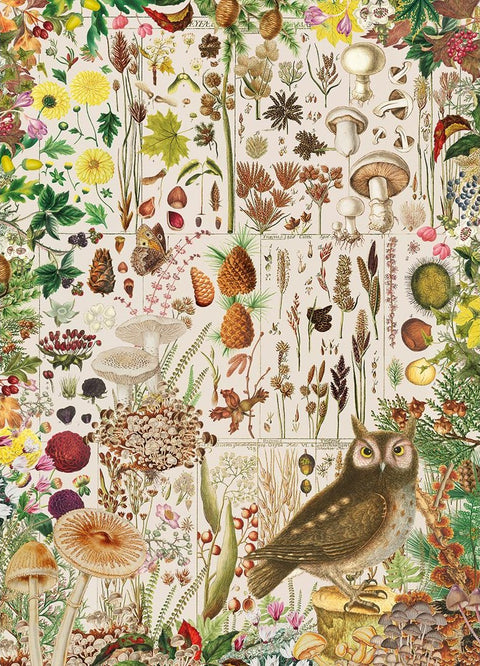 Artwork: Fall Flora – RHS – 1000 Piece Jigsaw Puzzle (Gibsons)