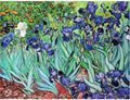 Artwork: Iris by Van Gogh – 1000 Piece Jigsaw Puzzle (Dtoys)